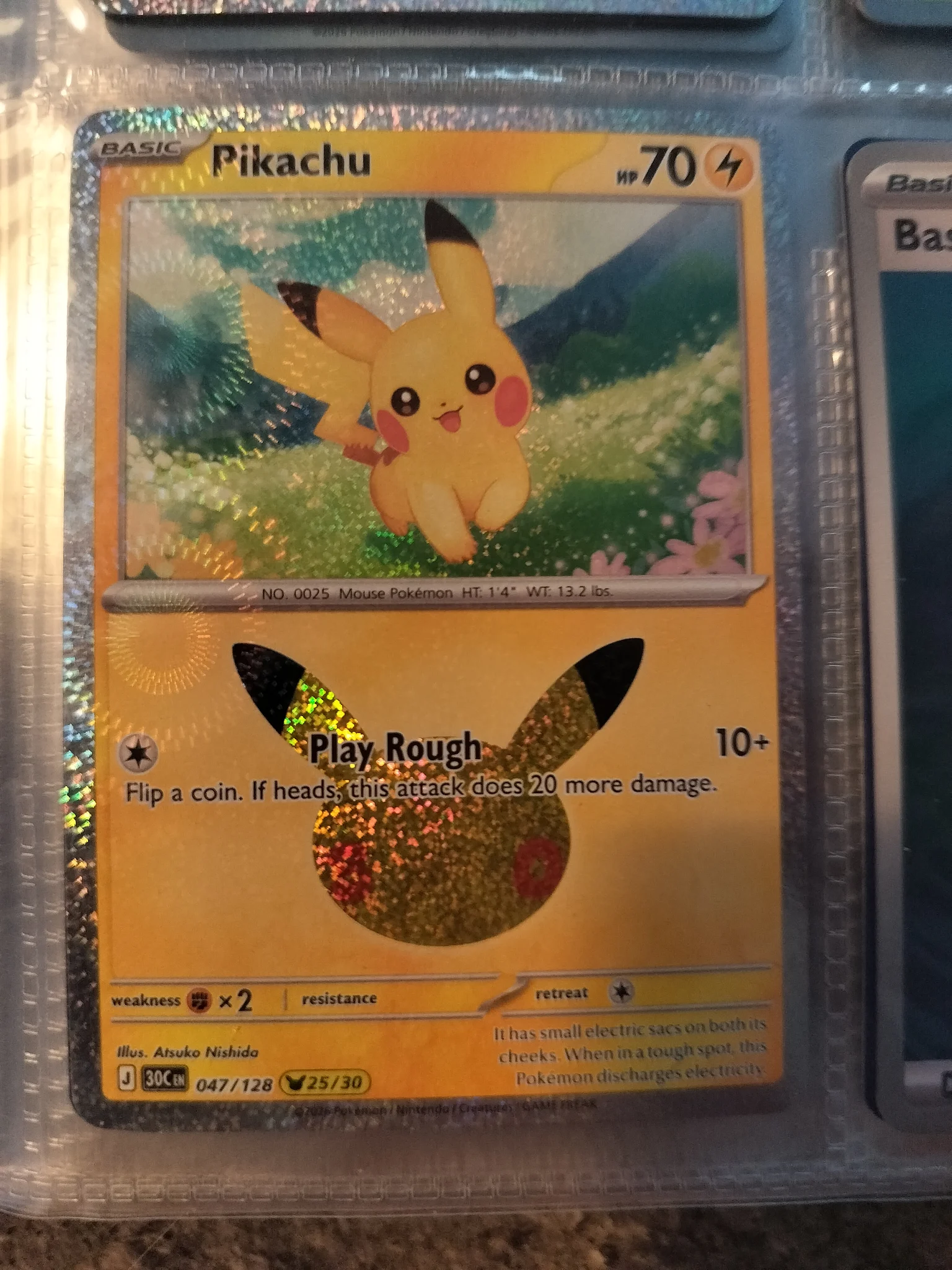 1000012194